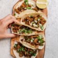 Nutrition Follow-Up Program